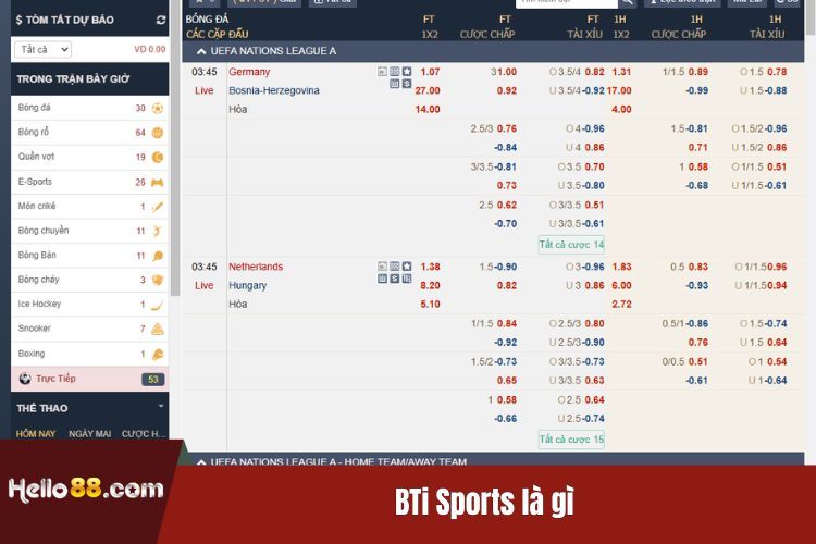 BTi Sports là gì