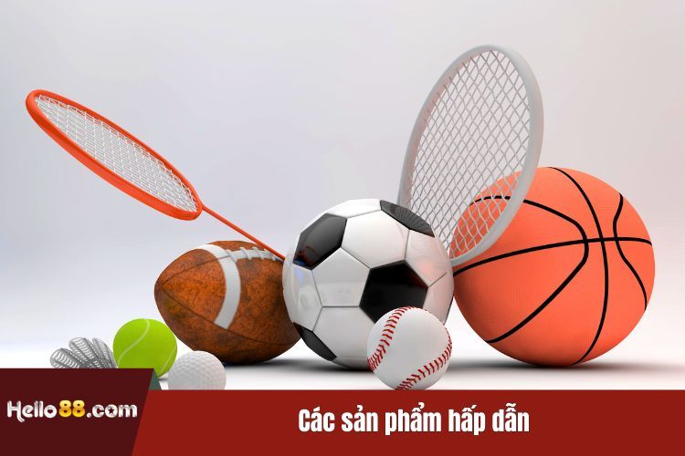 Các sản phẩm hấp dẫn