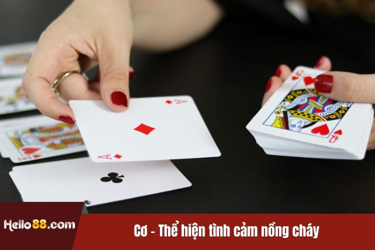 Cơ - Thể hiện tình cảm nồng cháy