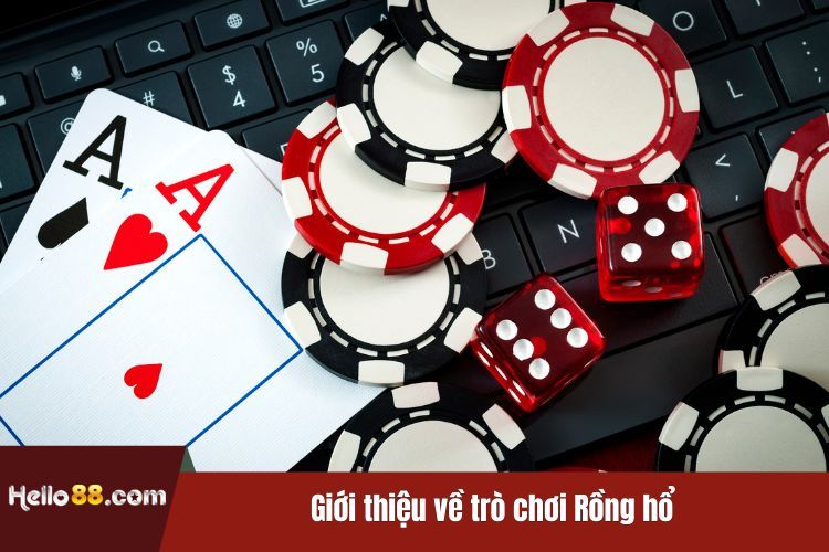 Giới thiệu về trò chơi Rồng hổ